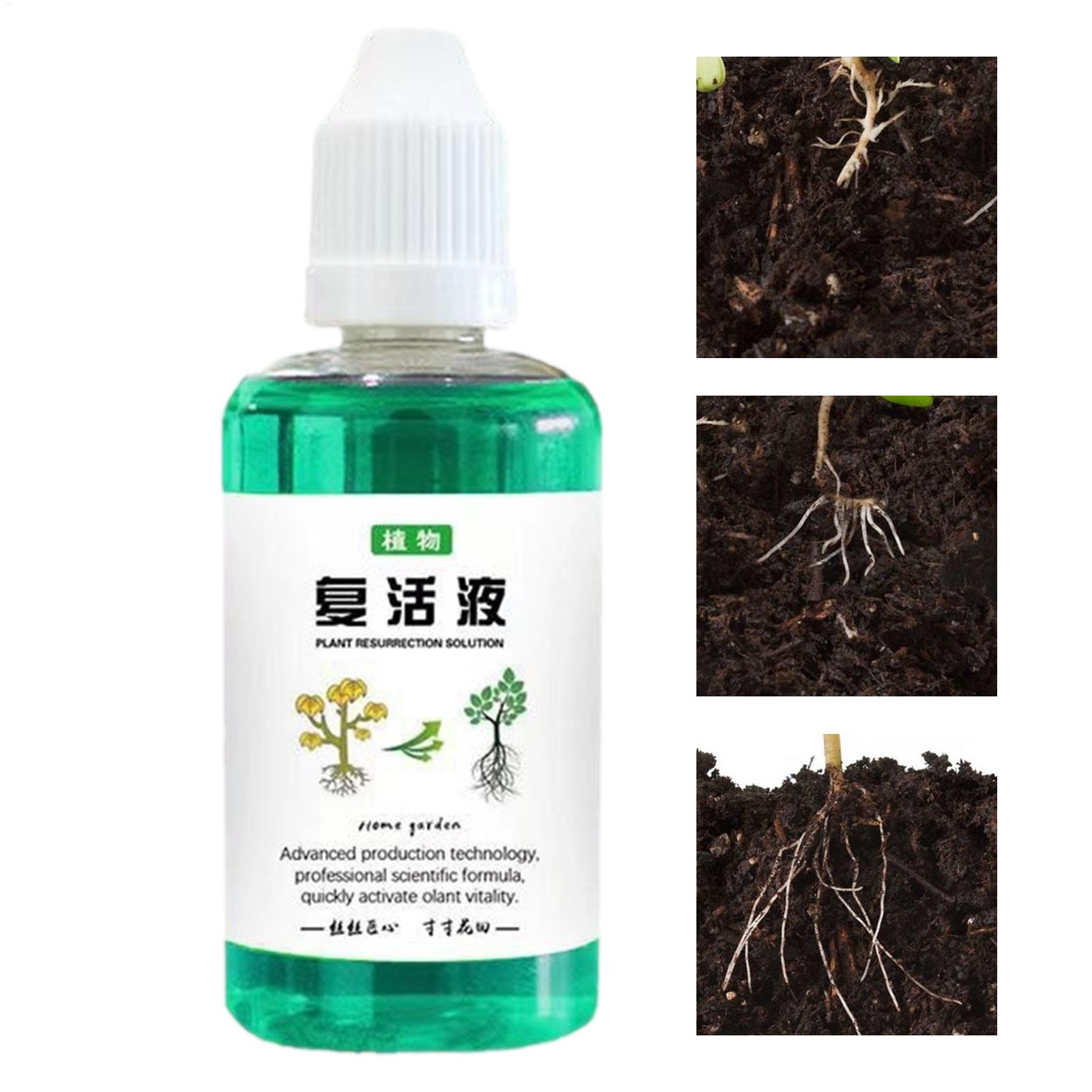 Root Stimulator Liquid - น้ำยากระตุ้นราก 50 มล. ปุ๋ยเหลวสำหรับพืช บำรุงราก กระตุ้นการออกดอก