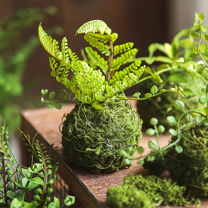 Sphagnum Moss Dry - กระถางมอสบอลประดิษฐ์, ภาชนะปลูกบอนไซสีเขียวธรรมชาติ, กระถางมอสตกแต่งสวนขนาดเล็กสำหรับตกแต่งสวนในบ้าน D