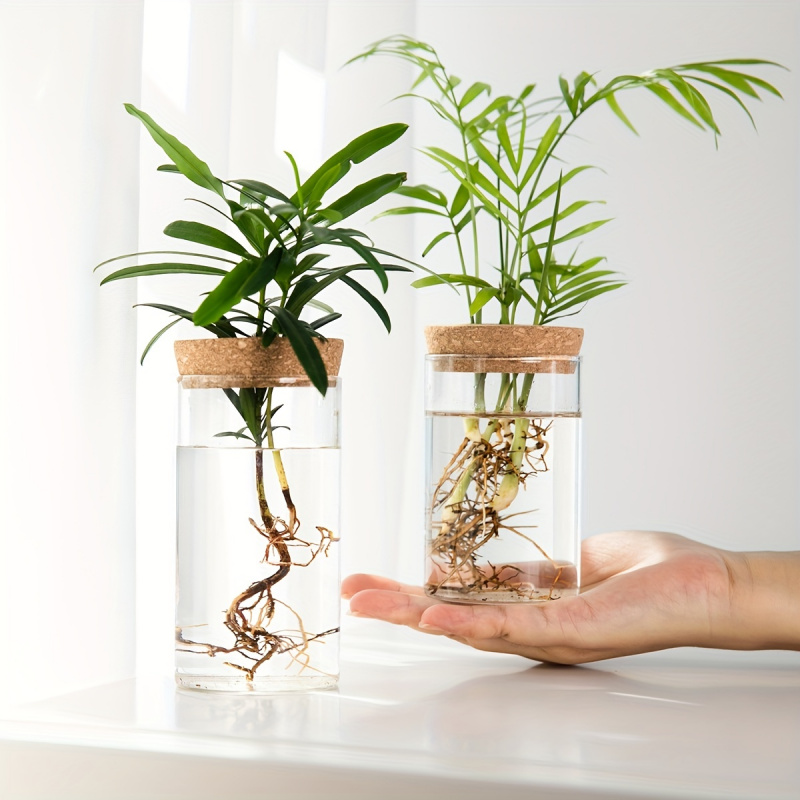 Propagation Station Vase - 1ชิ้น, ไฮโดรโปนิกส์พืชแจกันปลูกต้นไม้แก้วตั้งโต๊ะสำหรับตกแต่งบ้าน, แจกันปลูกต้นไม้สำหรับปลูกต้นไม้, ไฮโดรโปนิกส์ตั้งโต๊ะ