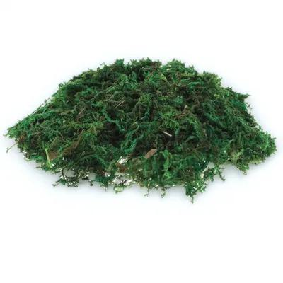 Sphagnum Moss Dry - มอสปลอมตกแต่ง 1 แพ็ค ดูเป็นธรรมชาติ สำหรับกระถางต้นไม้ ตู้เลี้ยงสัตว์เลี้ยงขนาดเล็ก