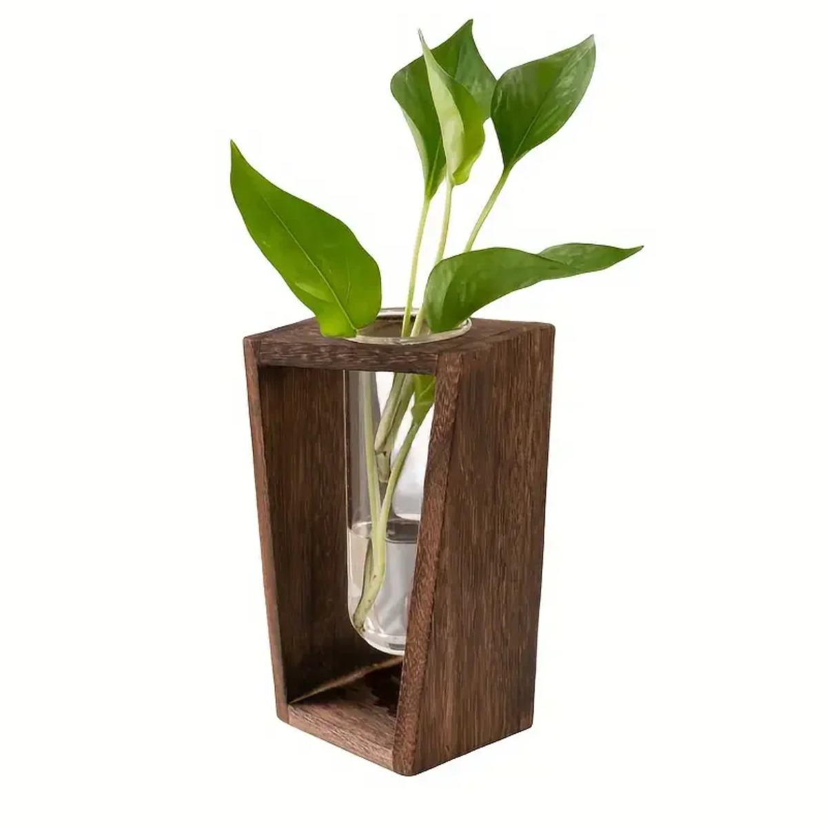 Propagation Station Vase - สถานีเพาะพันธุ์พืช แจกันไฮโดรโพนิก กระถางไม้ ดีไซน์โมเดิร์นมินิมอล ที่วางโชว์ต้นไม้ในร่ม ตกแต่งบ้านและสำนักงาน