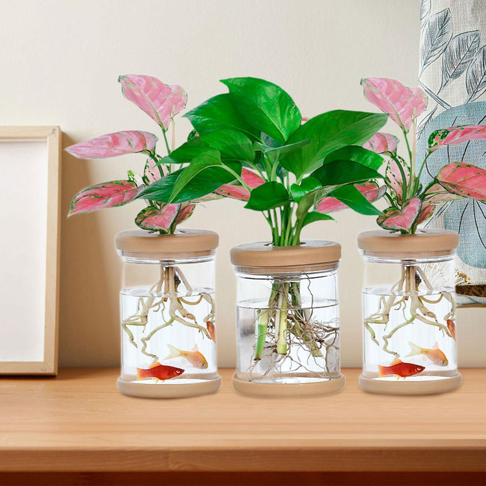 Propagation Station Vase - แจกันดอกไม้ไฮโดรโปนิกส์ 3 ชิ้น แจกันตกแต่งสำหรับตู้ระเบียงบ้านไร่