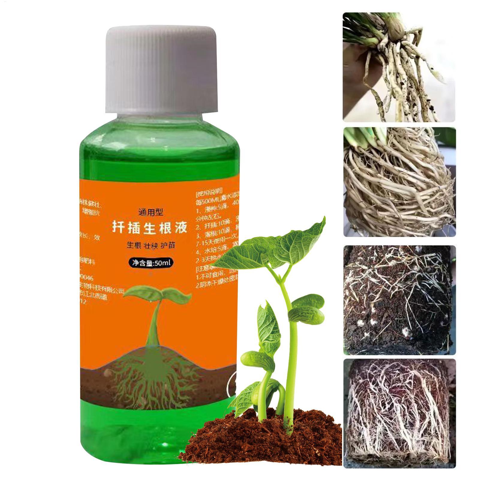 Root Stimulator Liquid - สารอาหารปลูกต้นไม้ 50 มล. น้ำยาเร่งรากสำหรับกิ่งปักชำ กุหลาบ ช่วยให้รากแข็งแรง
