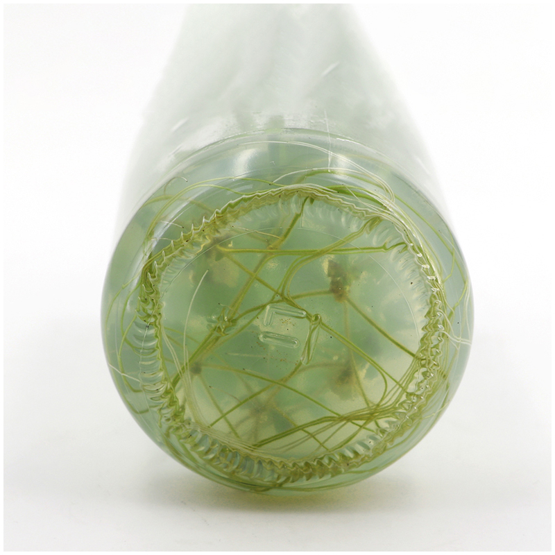 สารอาหาร MS Medium ไม่มีวุ้นหร - Agar Tissue Culture บทวิจารณ์และราคา