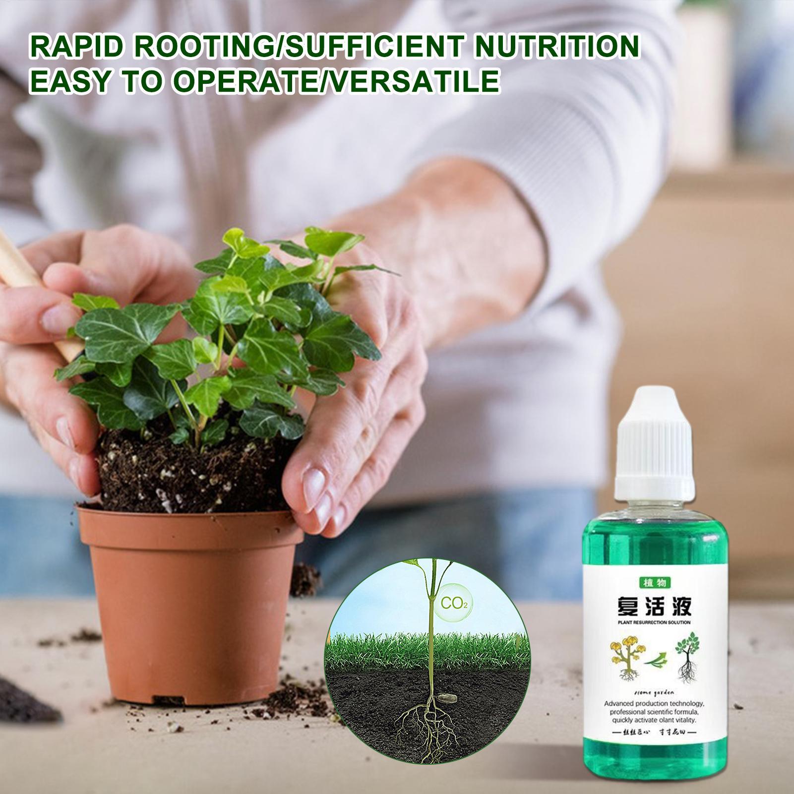 น้ำยากระตุ้นราก 50 มล. ปุ๋ยเหล - Root Stimulator Liquid บทวิจารณ์และราคา