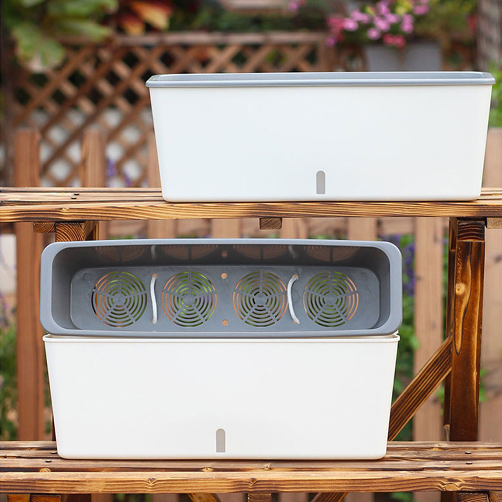 กระถางปลูกต้นไม้รดน้ําด้วยตนเอ - Self Watering Insert บทวิจารณ์และราคา