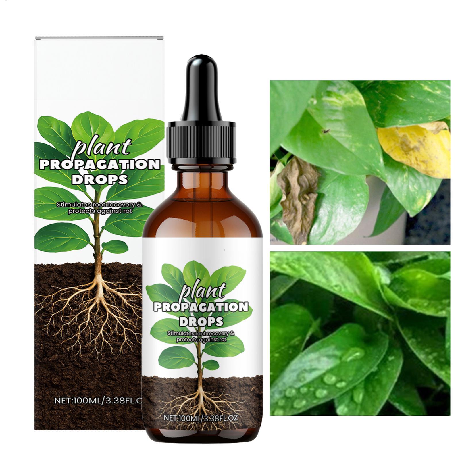 น้ำยาเร่งราก 100 มล. น้ำยากระต - Root Stimulator Liquid บทวิจารณ์และราคา