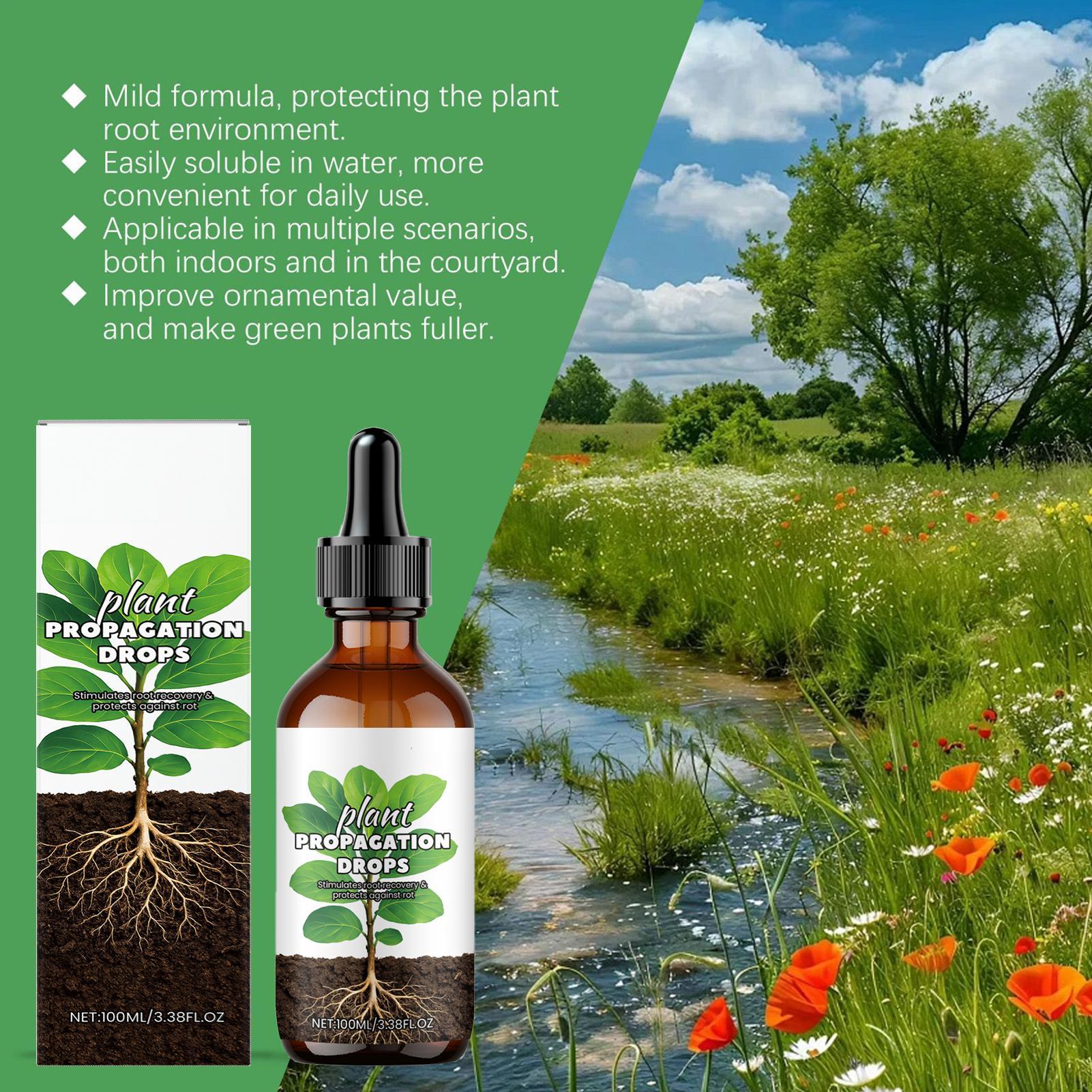 น้ำยาเร่งราก 100 มล. น้ำยากระต - Root Stimulator Liquid บทวิจารณ์และราคา