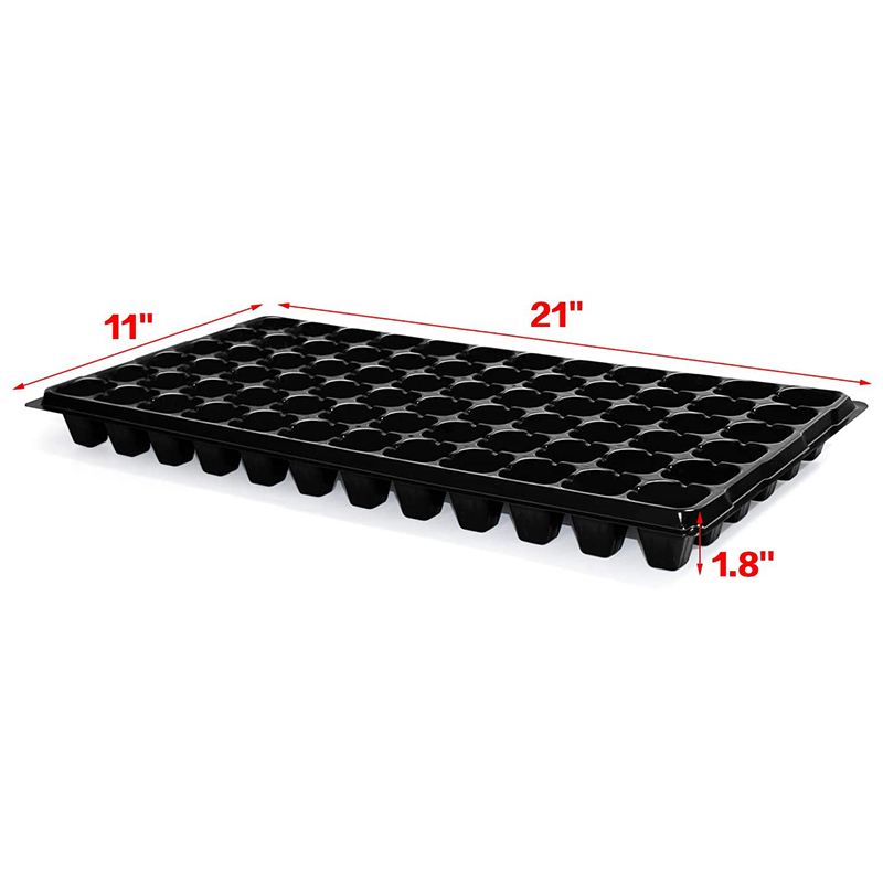 ถาดเพาะเมล็ด B84B-10 แพ็ค, ถาด - Propagation Tray 72 บทวิจารณ์และราคา