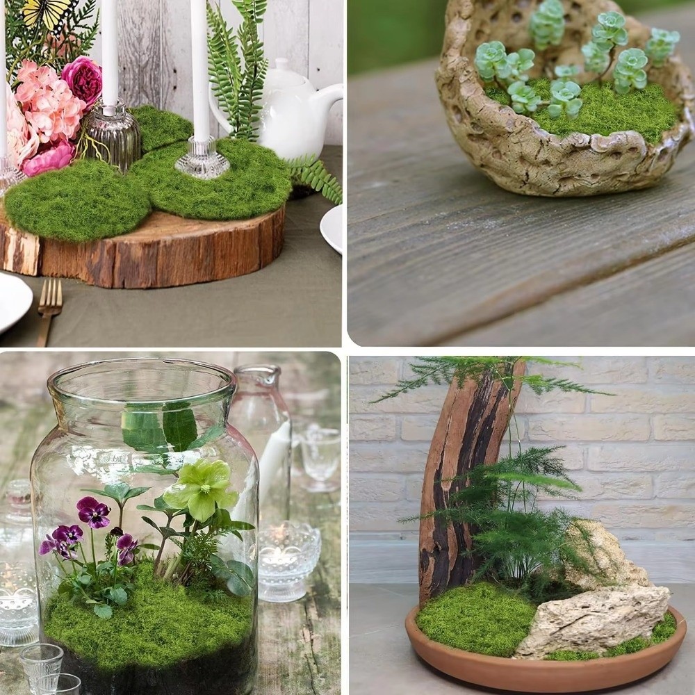 พรมหญ้าเทียม DIY ทนทาน ไม่ต้อง - Sphagnum Moss Dry บทวิจารณ์และราคา