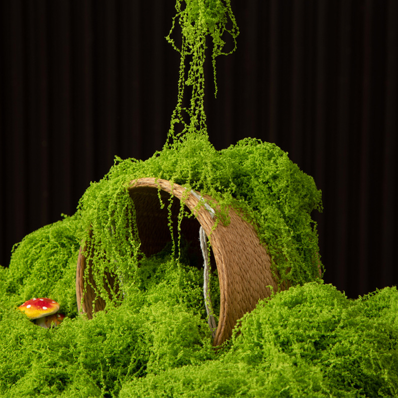 มอสอมตะ 200 กรัม สำหรับงาน DIY - Sphagnum Moss Dry บทวิจารณ์และราคา