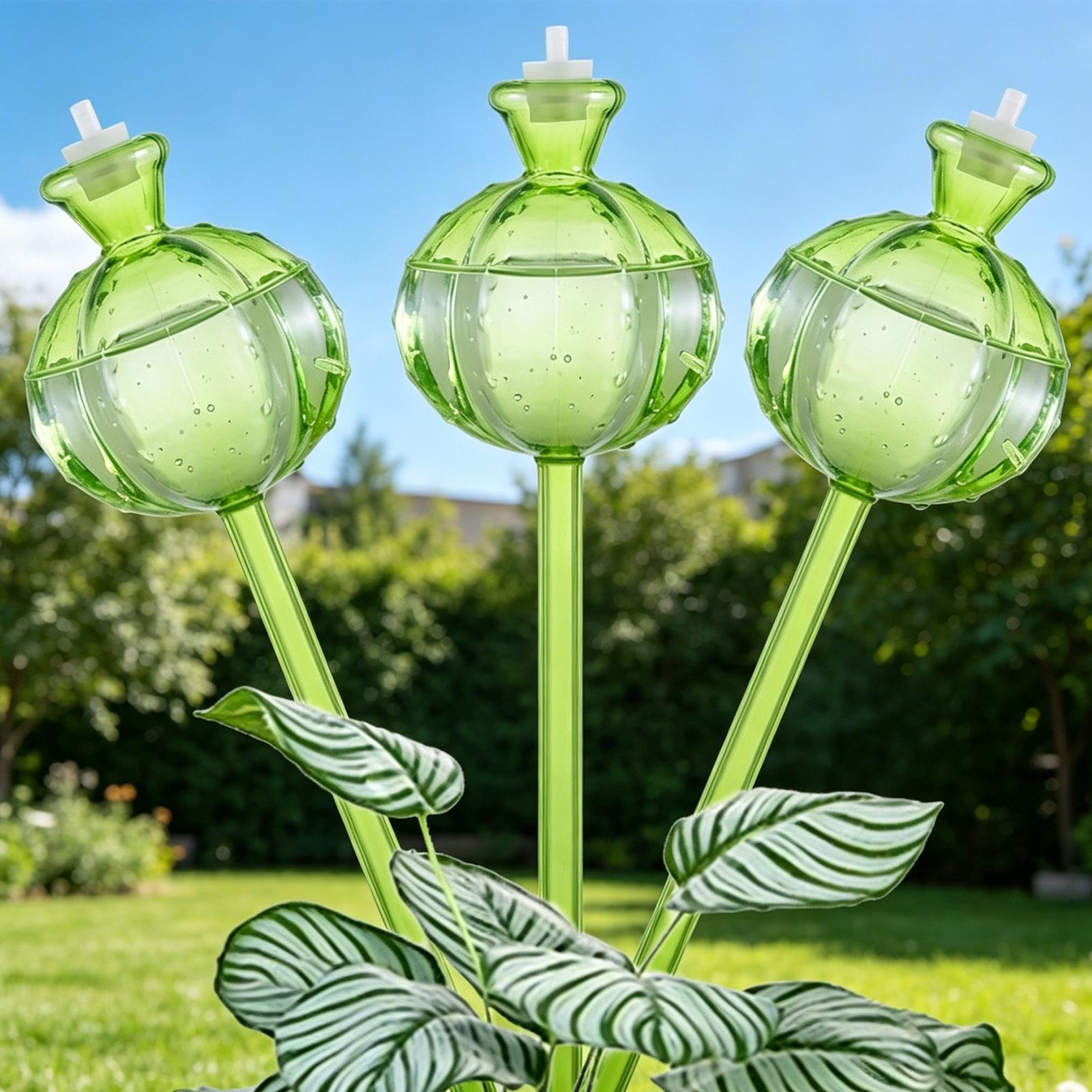 ลูกบอลรดน้ำอัตโนมัติ 3 ชิ้น แบ - Self Watering Insert บทวิจารณ์และราคา