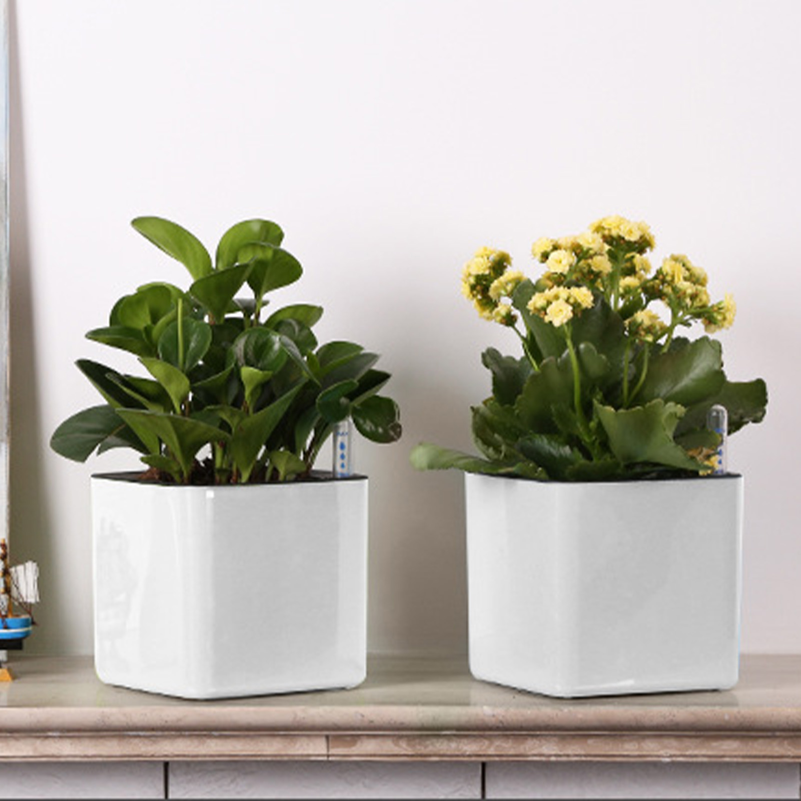 3 ขนาดขี้เกียจกระถางดอกไม้พืชส - Self Watering Insert บทวิจารณ์และราคา