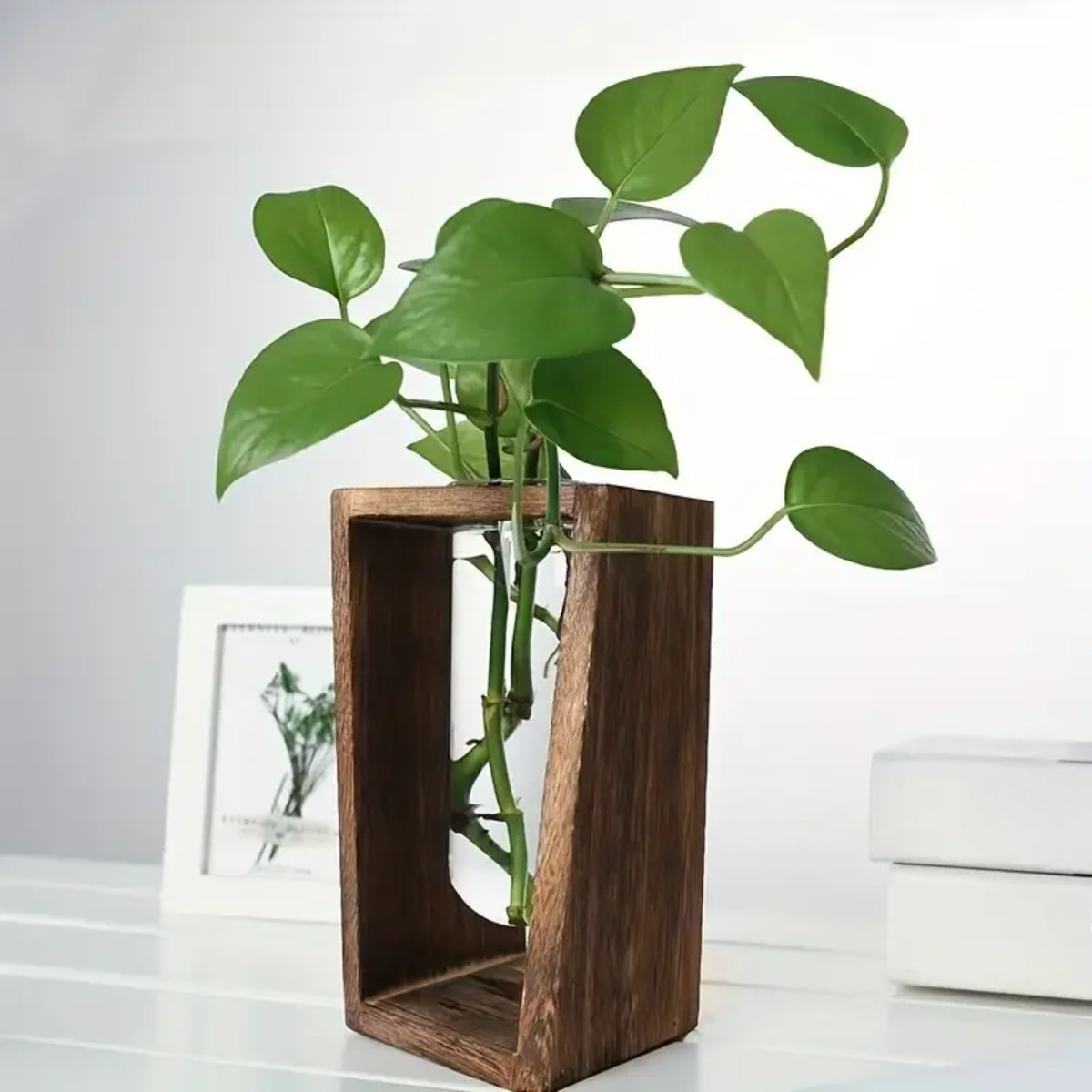 สถานีเพาะพันธุ์พืช แจกันไฮโดรโ - Propagation Station Vase บทวิจารณ์และราคา