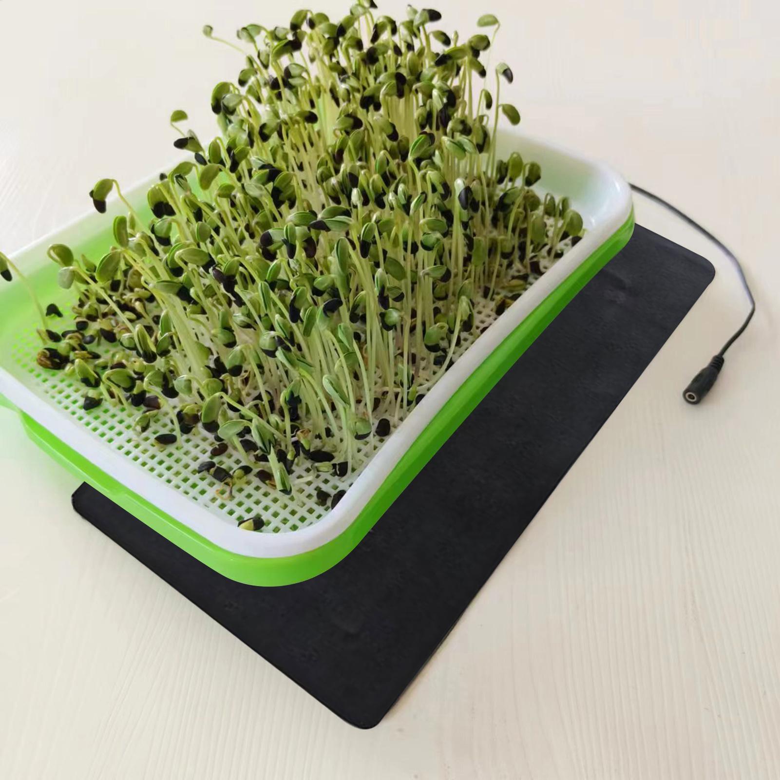 แผ่นทำความร้อนสำหรับเพาะเมล็ดแ - Heat Mat Seedling บทวิจารณ์และราคา