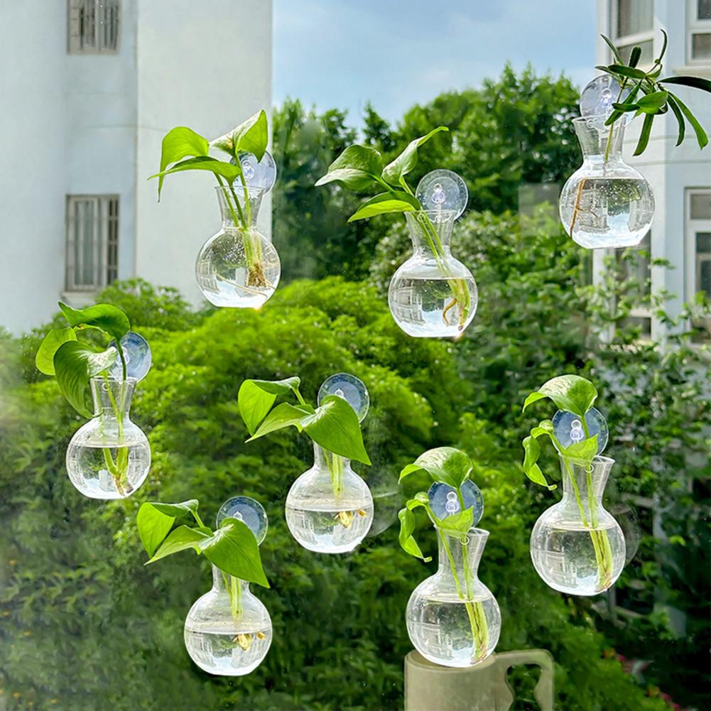 กระถางปลูกต้นไม้แบบติดหน้าต่าง - Propagation Station Vase บทวิจารณ์และราคา