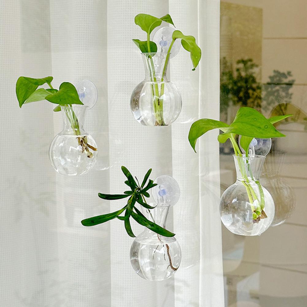 กระถางปลูกต้นไม้แบบติดหน้าต่าง - Propagation Station Vase บทวิจารณ์และราคา