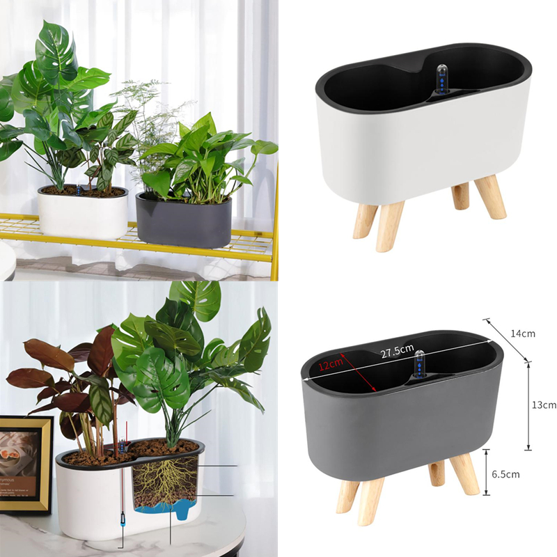 โรงงานในร่มที่มีตัวบ่งชี้ไม้ขา - Self Watering Insert บทวิจารณ์และราคา