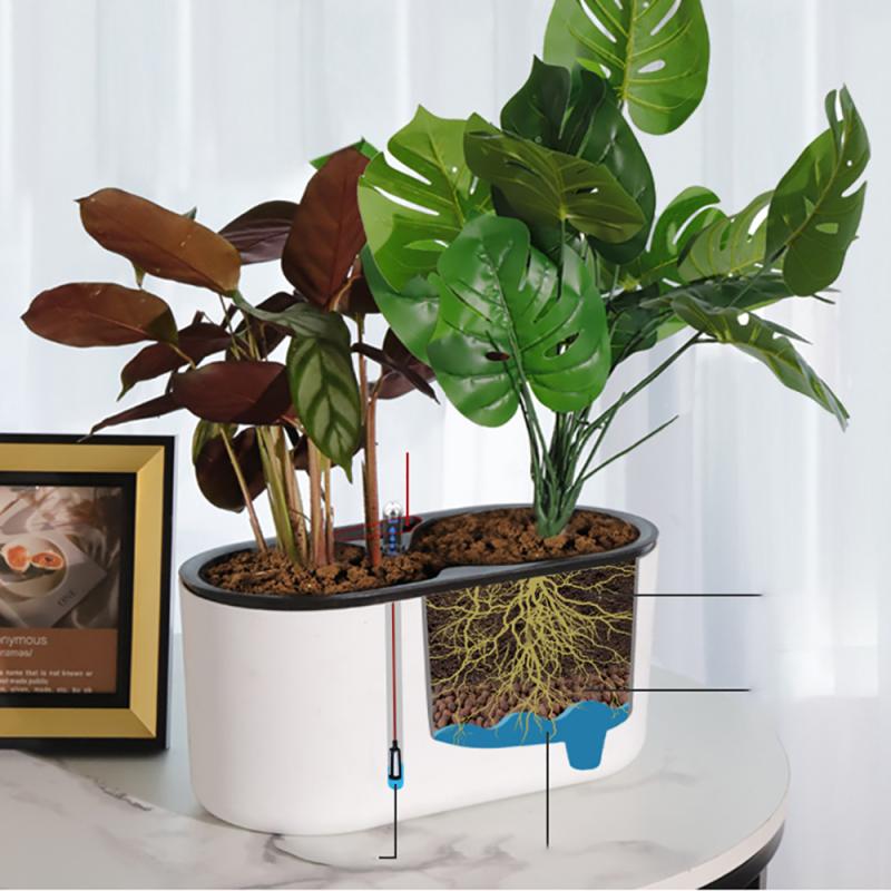 โรงงานในร่มที่มีตัวบ่งชี้ไม้ขา - Self Watering Insert บทวิจารณ์และราคา