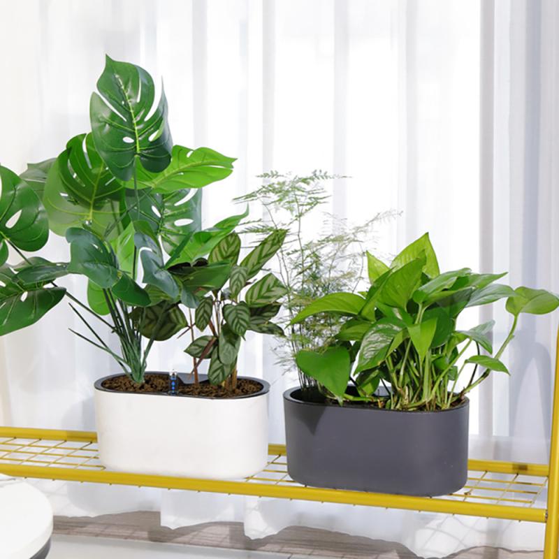 โรงงานในร่มที่มีตัวบ่งชี้ไม้ขา - Self Watering Insert บทวิจารณ์และราคา