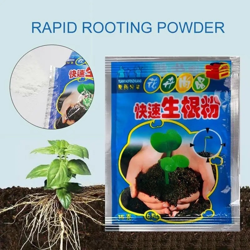 ผงเร่งราก 5 ชิ้น สารเร่งรากสำห - Rooting Hormone Powder บทวิจารณ์และราคา