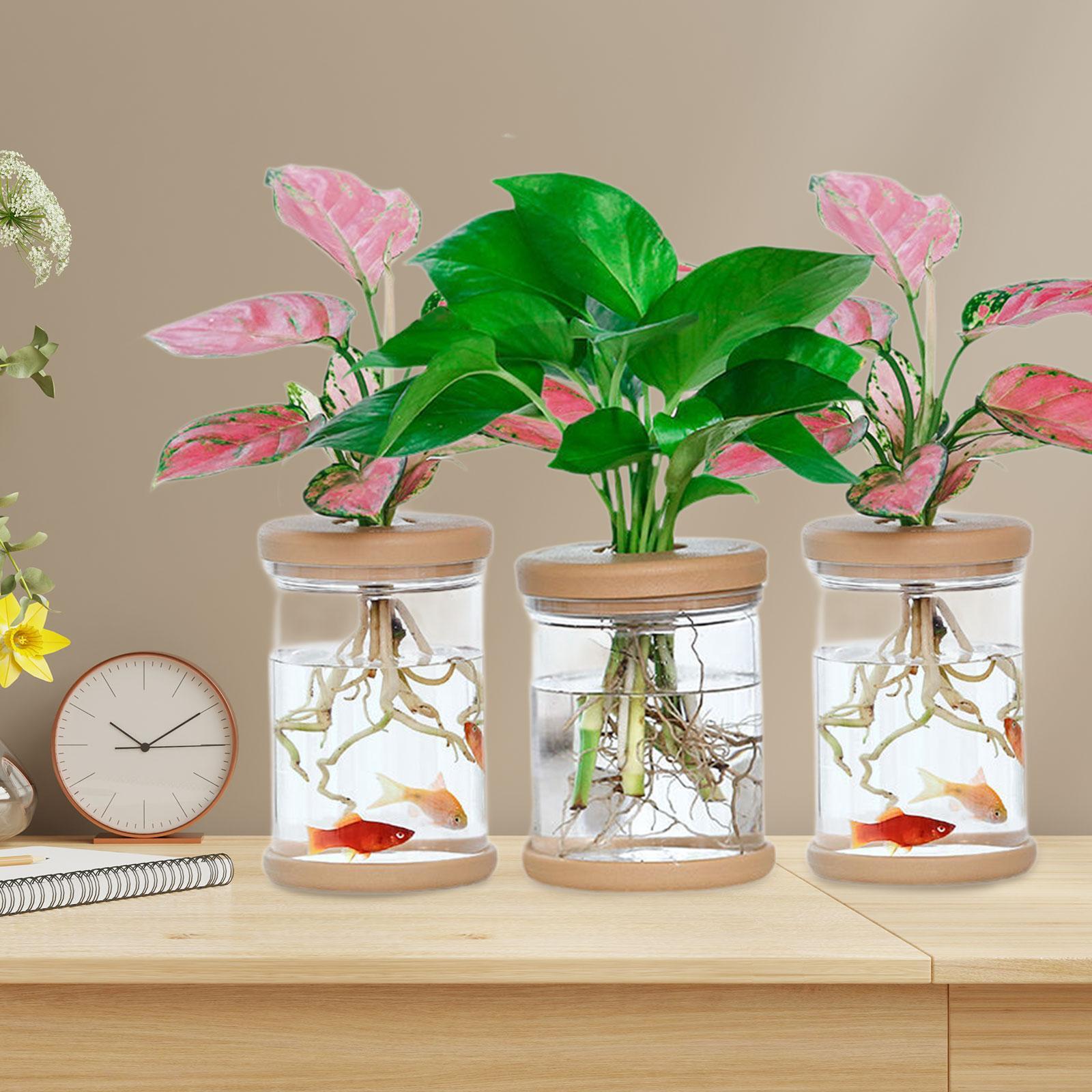 แจกันดอกไม้ไฮโดรโปนิกส์ 3 ชิ้น - Propagation Station Vase บทวิจารณ์และราคา