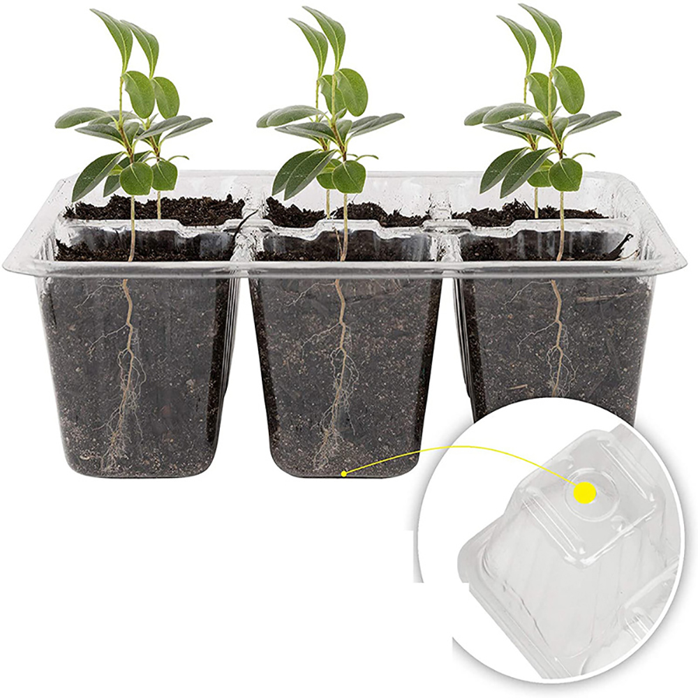 ถาดเพาะเมล็ดพร้อมไฟ Grow ชุดเพ - Humidity Dome Kit บทวิจารณ์และราคา