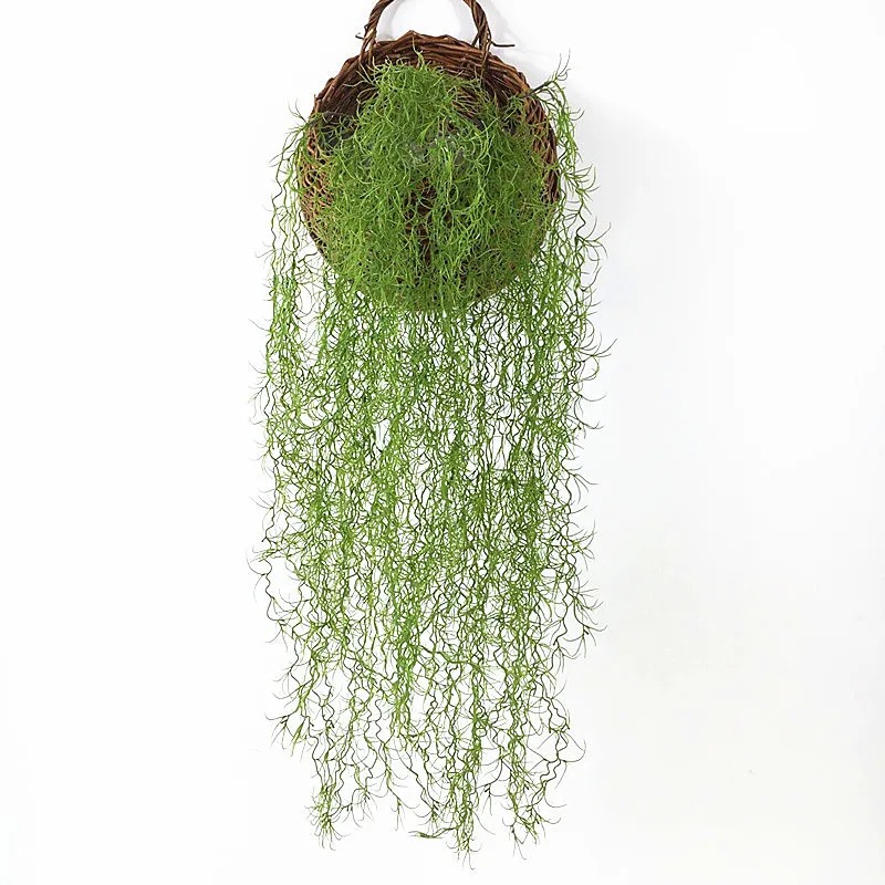 1/3/5 ชิ้น พืชหญ้าสีเขียว ต้นไ - Sphagnum Moss Dry บทวิจารณ์และราคา