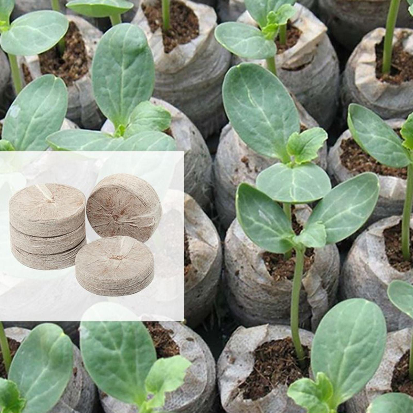 ถาดเพาะเมล็ด 100 ชิ้น ขนาด 30  - Peat Pellet Tray บทวิจารณ์และราคา