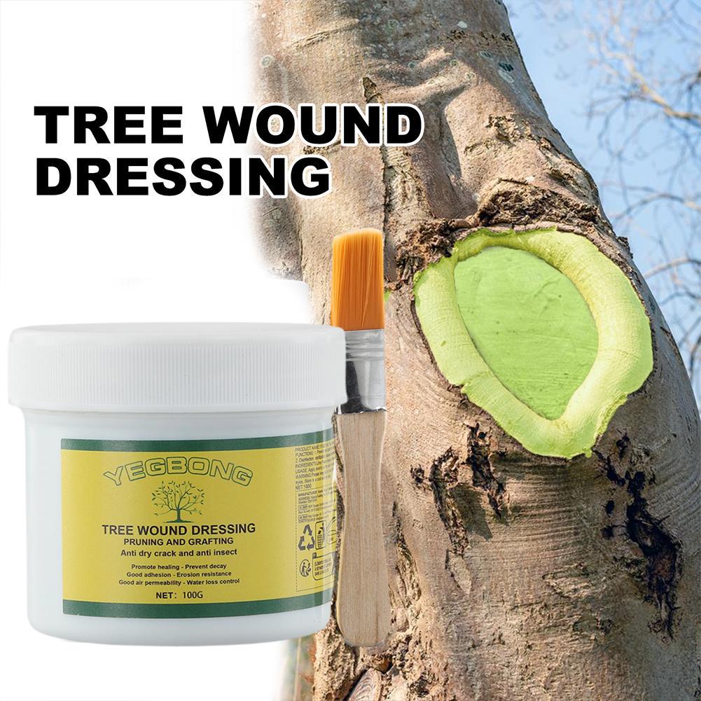100g Tree Grafting วางต้นไม้แผ - Rooting Hormone Powder บทวิจารณ์และราคา