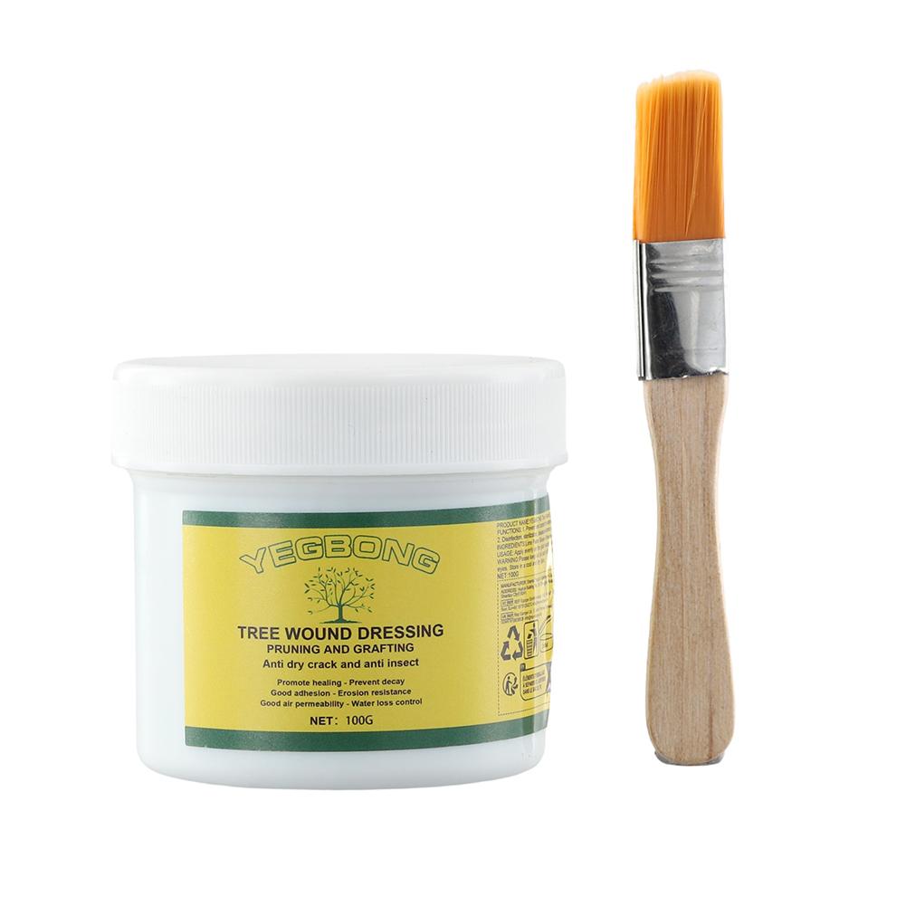 100g Tree Grafting วางต้นไม้แผ - Rooting Hormone Powder บทวิจารณ์และราคา