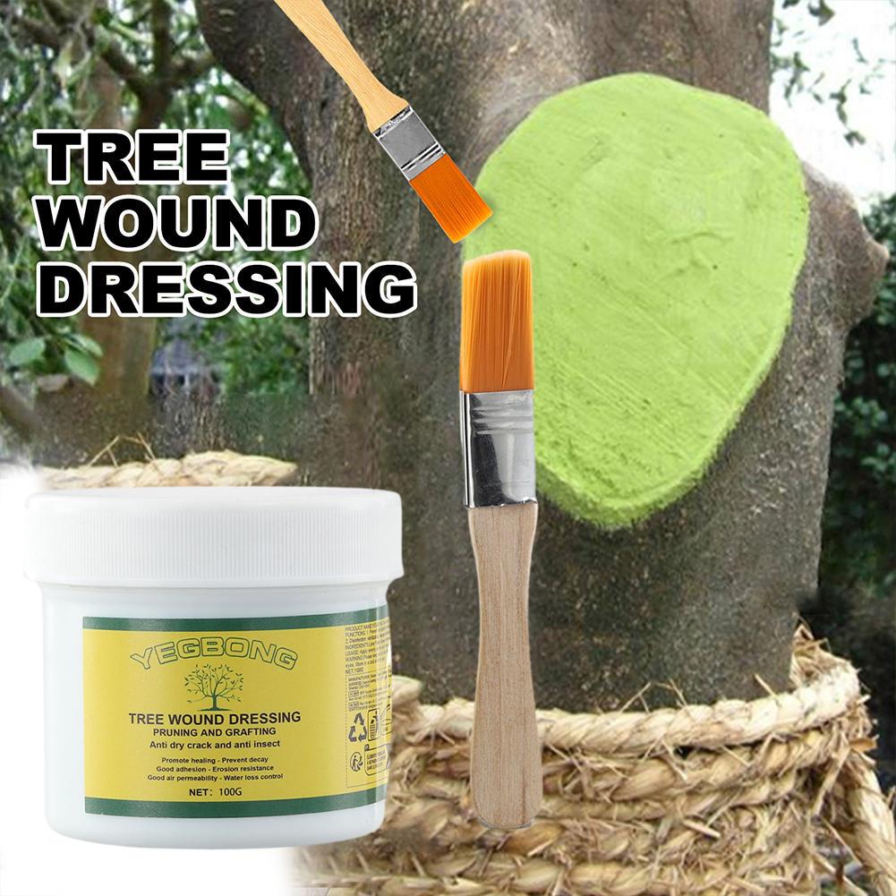 100g Tree Grafting วางต้นไม้แผ - Rooting Hormone Powder บทวิจารณ์และราคา