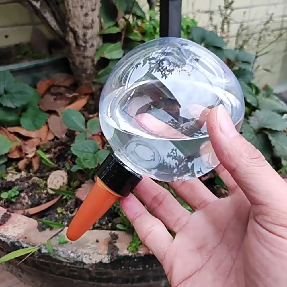 ลูกบอลรดน้ำอัตโนมัติขนาด 500 ม - Self Watering Insert บทวิจารณ์และราคา