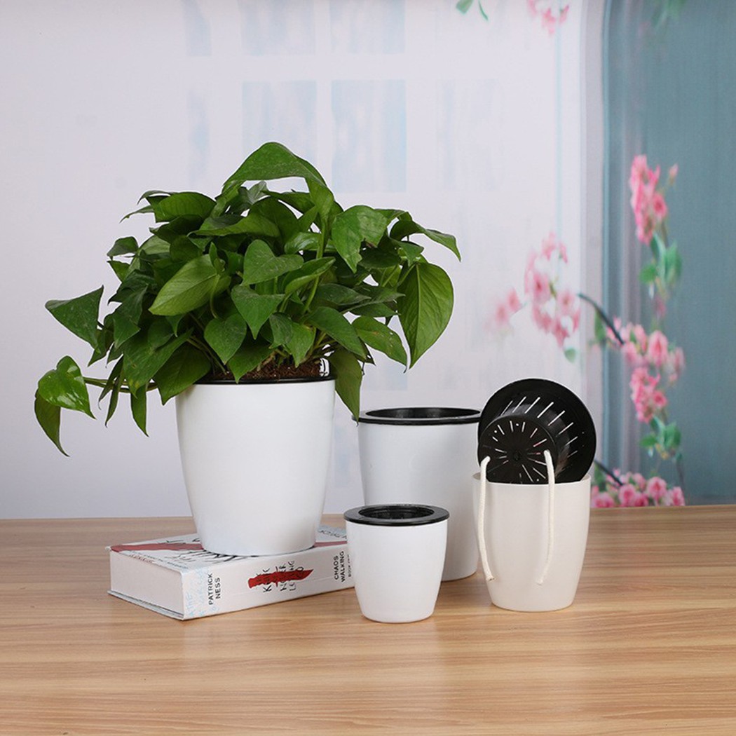 กระถางรดน้ำต้นไม้อัตโนมัติกระถ - Self Watering Insert บทวิจารณ์และราคา