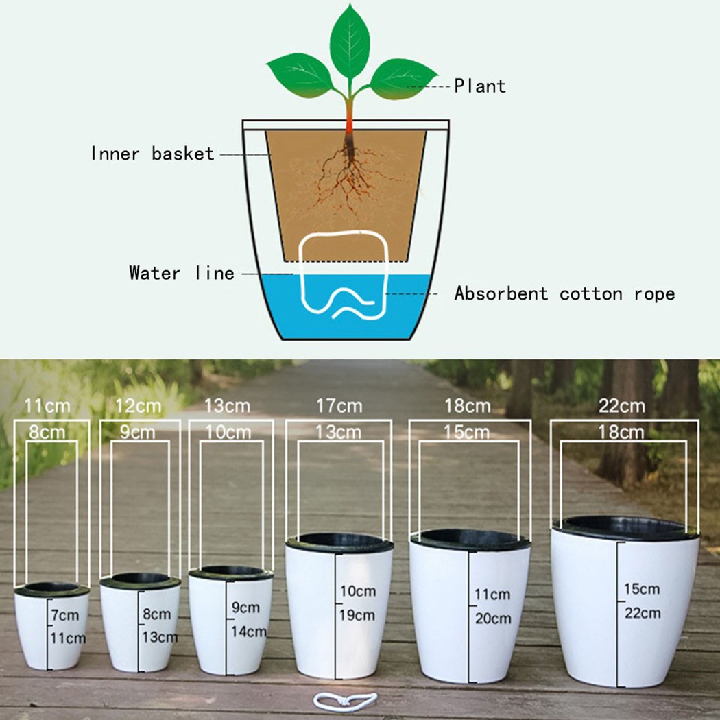 กระถางรดน้ำต้นไม้อัตโนมัติกระถ - Self Watering Insert บทวิจารณ์และราคา