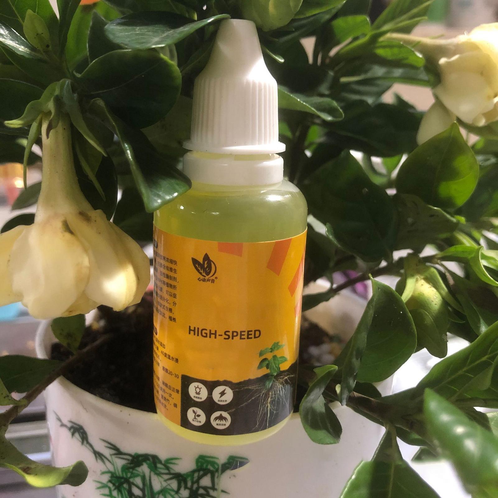 สารอาหารปลูกต้นไม้แบบเร่งราก ส - Root Stimulator Liquid บทวิจารณ์และราคา